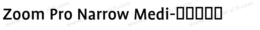 Zoom Pro Narrow Medi字体转换